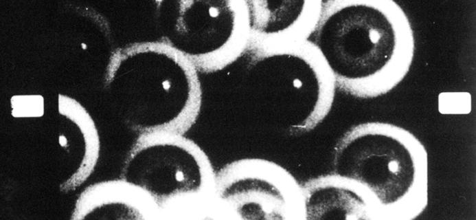 Filmstudie • Hans Richter Filmstudie • Hans Richter